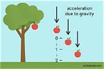 Does Gravity Affect Falling Objects?