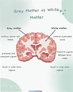Does Gray Have White?
