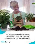 Does Greenery Help Reduce Stress?