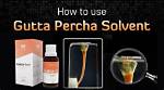 Does Gutta Percha Dissolve