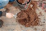 Does Gypsum Lower Ph?