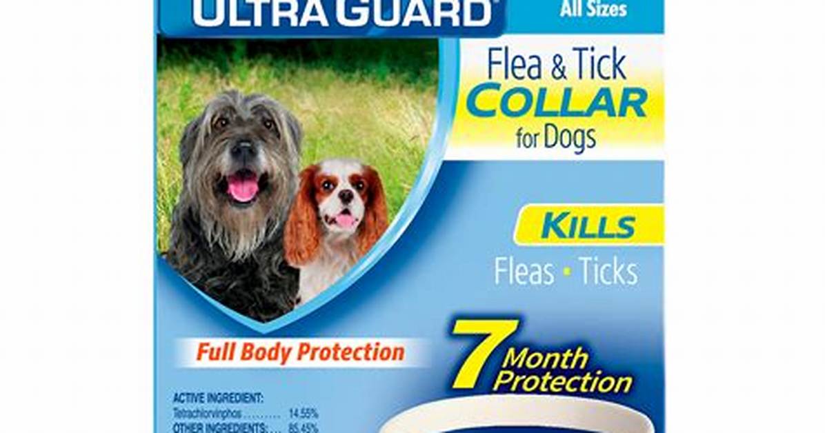 Does Hartz Flea Collar Work?