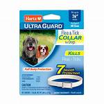 Does Hartz Flea Collar Work?