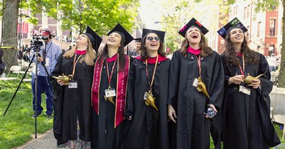 Does Harvard Have Undergraduate Programs?