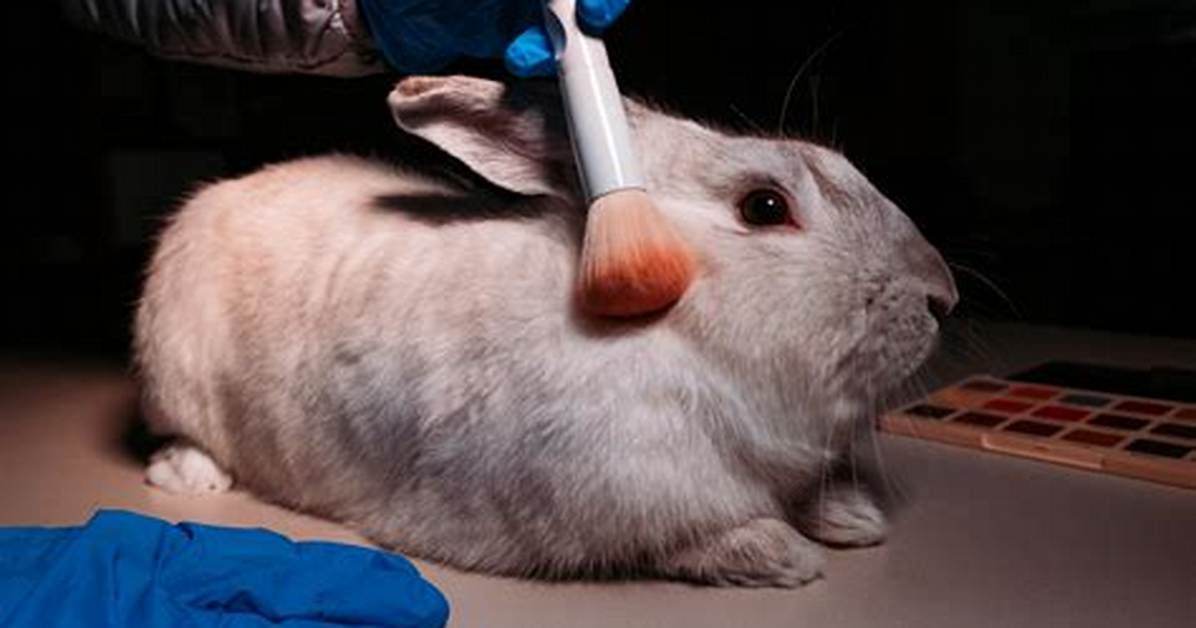 Does Hask Test on Animals?