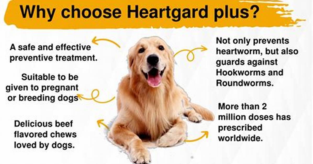 Does Heartgard Kill Hookworms?
