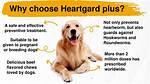 Does Heartgard Kill Hookworms?
