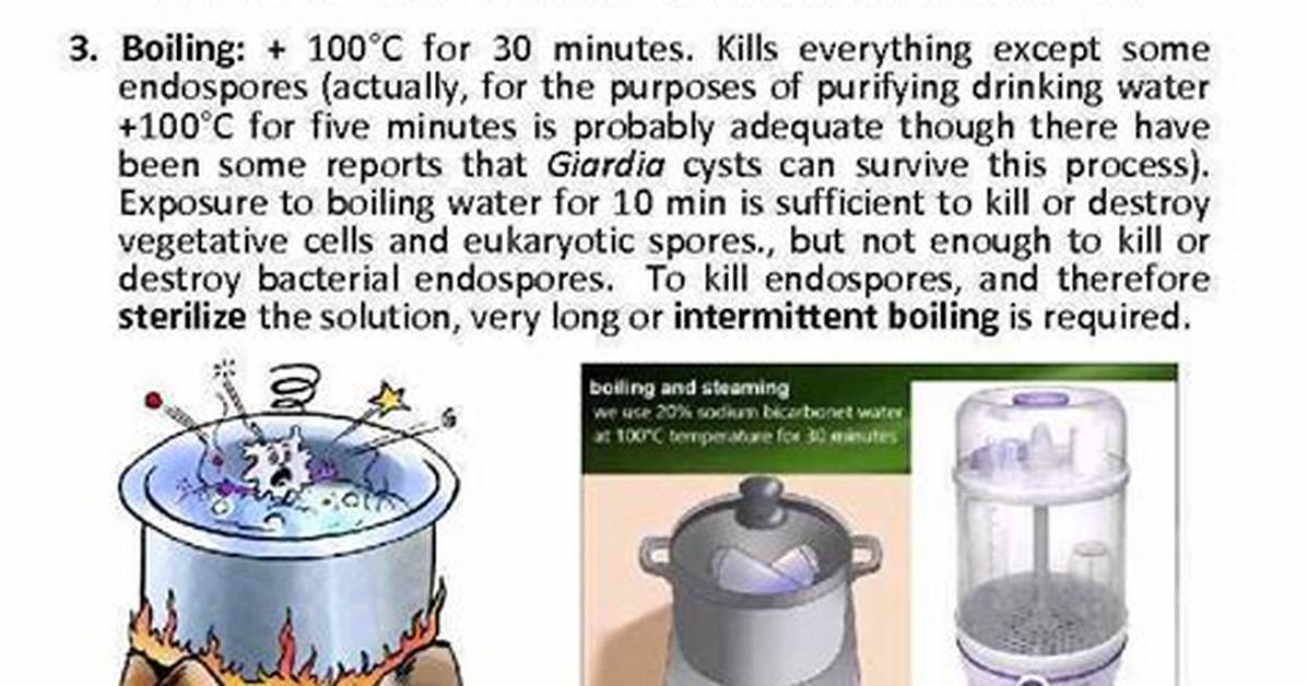 Does Heat Kill Bacteria