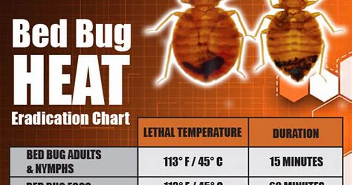Does Heat Kill Bed Bugs?
