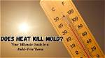 Does Heat Kill Mold?