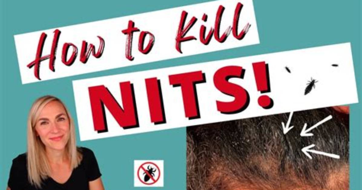 Does Heat Kill Nits?