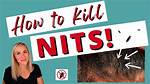 Does Heat Kill Nits?
