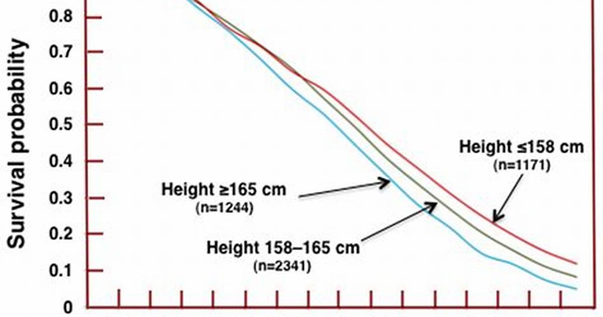 Does Height Affect Lifespan?