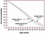 Does Height Affect Lifespan?