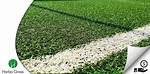 Does Herba Mean Grass?