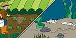 Does Herbicides Kill Fish?
