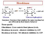 Does Hexokinase Require Atp?