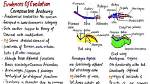 Does Homologies Support Evolution?