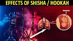 Does Hookah Harm Your Body?