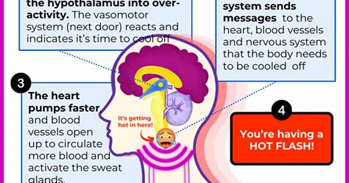 Does Hot Flashes Affect the Brain?