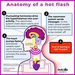 Does Hot Flashes Affect the Brain?