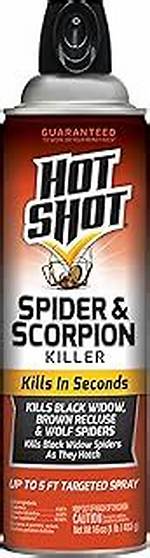 Does Hot Shot Kill Spiders?