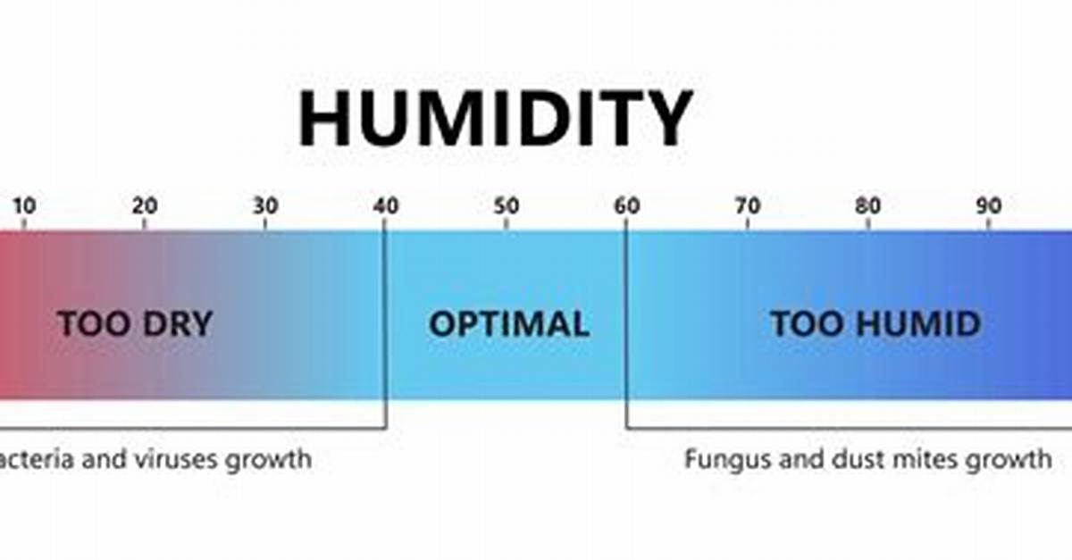 Does Humidity Rise