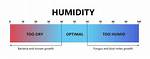 Does Humidity Rise