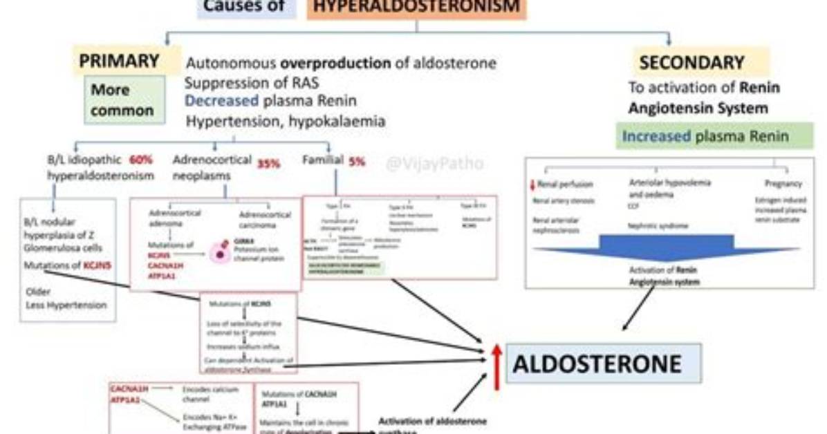 Does Hyperaldosteronism Cause Headaches?