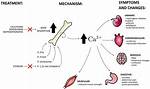 Does Hypercalcemia Cause Polyuria?
