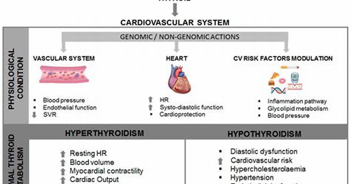 Does Hyperthyroidism Affect Cholesterol?