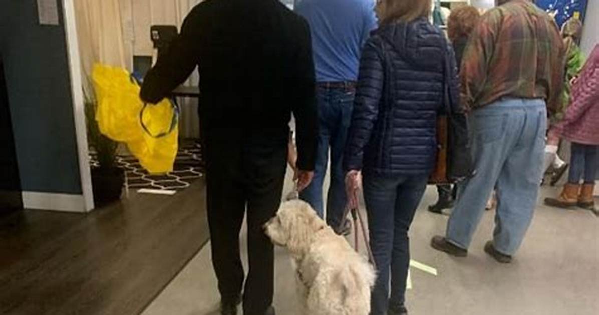 Does Ikea Allow Dogs