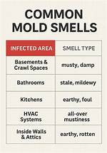Does Inactive Mold Smell?