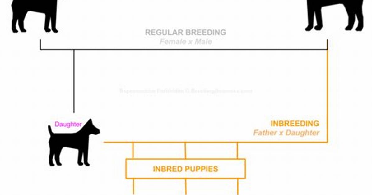 Does Inbreeding Affect Dogs?