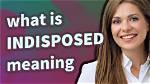 Does Indisposed Mean Busy?