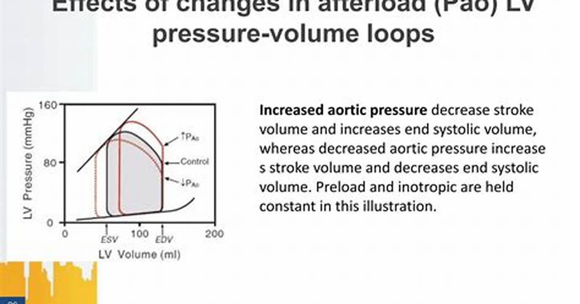 Does Inotropic Effect Preload?