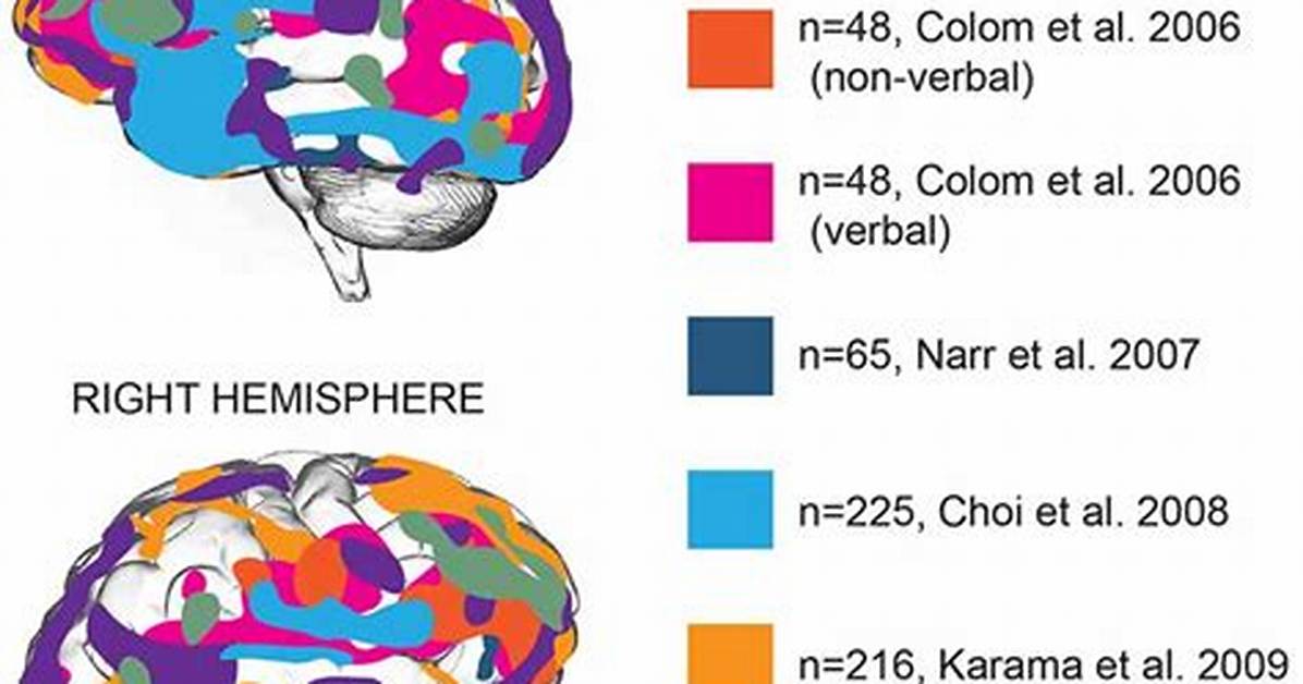 Does Intelligence Come from Genes?