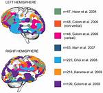 Does Intelligence Come from Genes?