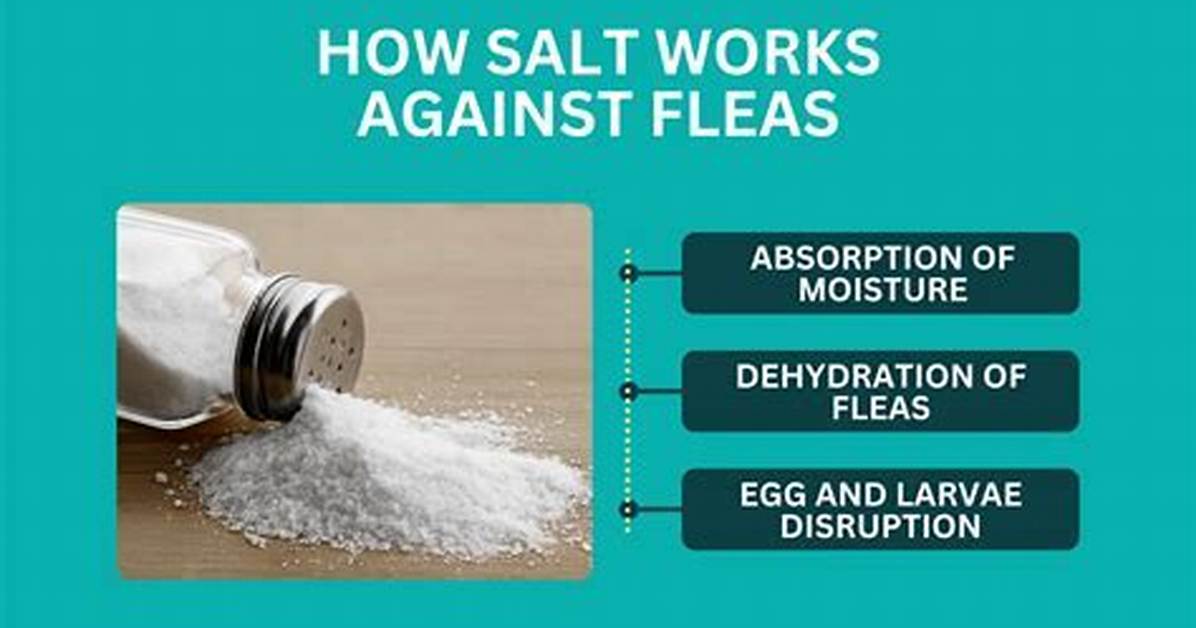 Does Iodized Salt Kill Fleas?