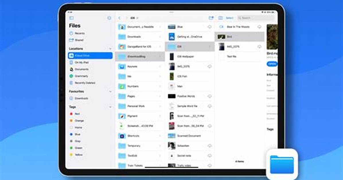 Does Ipad Open Chm Files?