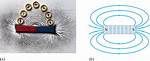 Does Iron Filings Float?