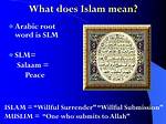 Does Islam Mean Surrender?