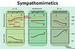 Does Isoproterenol Decrease Blood Pressure?