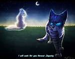 Does Jayfeather Love Halfmoon?