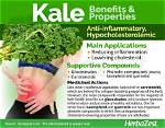 Does Kale Block Calcium Absorption
