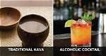 Does Kava Make You Drunk?