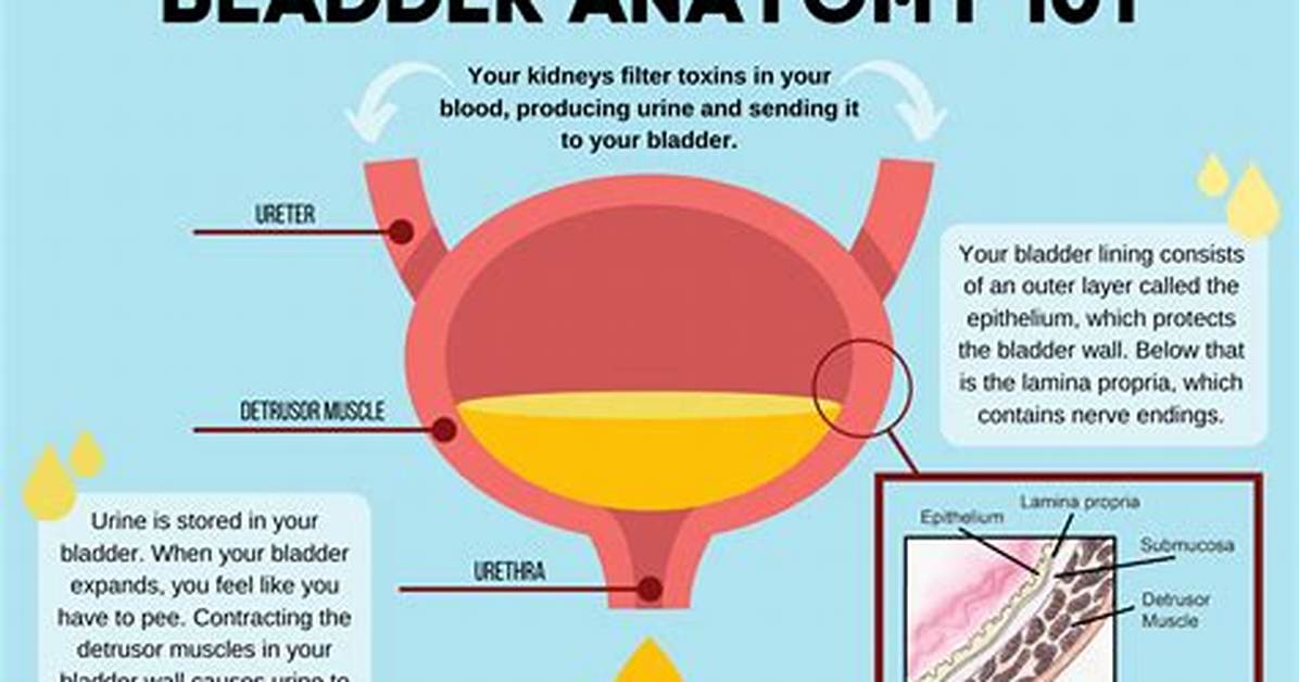 Does Ket Affect Your Bladder?