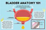 Does Ket Affect Your Bladder?