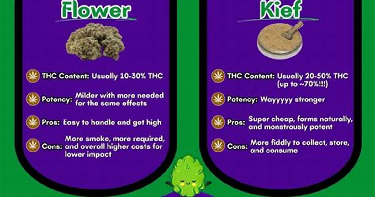 Does Kief Make U Higher?