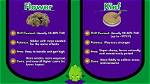 Does Kief Make U Higher?